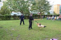 policjanci robią pokaz tresury psa służbowego. na zdjęcia pies trzyma w pysku rękaw wykorzystywany do pokazu obezwładniania przestępcy.